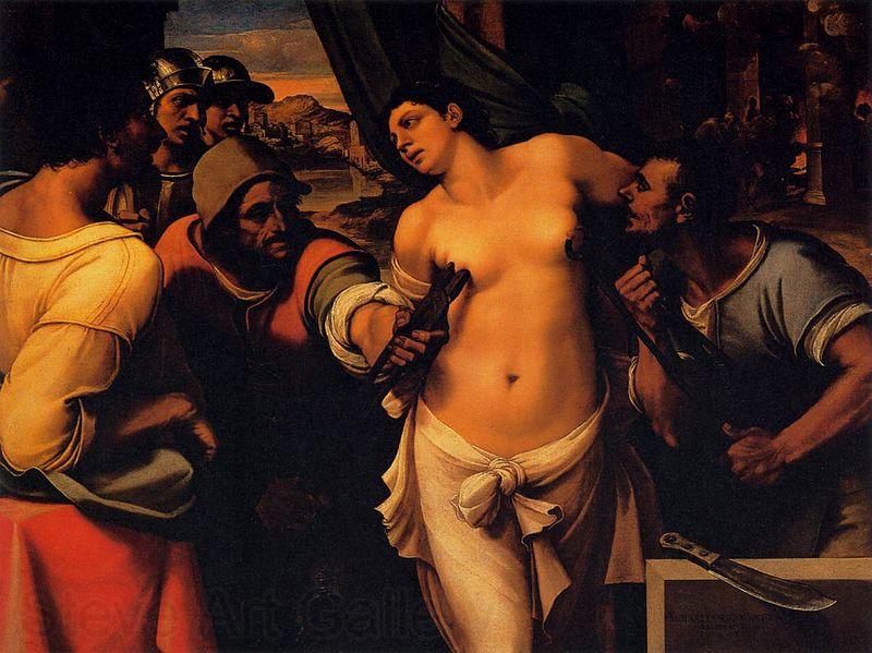 Sebastiano del Piombo Martyrdom of St Agatha Germany oil painting art